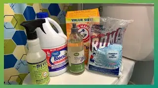 ✨🤍🚽 ASMR White Toilet Cleaning! w/ Bleach, Baking Soda, Mrs.Meyers, & Roma 🚽🤍✨
