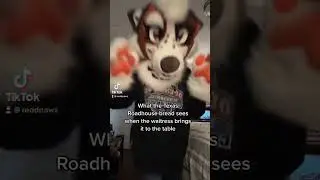 Furries at Texas Roadhouse 