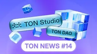 Power to the Community: Society DAO & TON Studio Transform the Ecosystem! | TON NEWS #14
