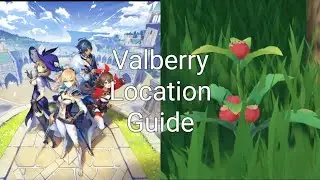 Where to find Valberry in Genshin Impact