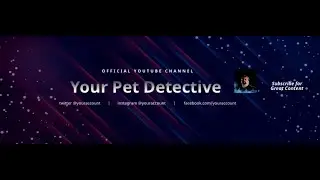 Upcoming on the Your Pet Detective Show