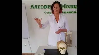 Алгоритм Молодости Методика