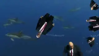 Peter Altmeier Sturz meme