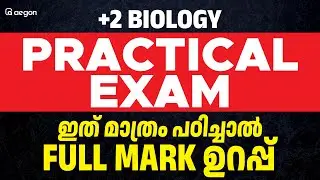‘ PLUS TWO BIOLOGY PRACTICAL EXAM ഇത് മാത്രം പഠിച്ചാൽ FULL MARK ഉറപ്പ് ‘ | AEGON #plustwopractical