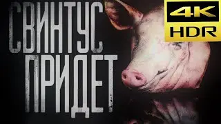 СВИНТУС ПРИДЁТ! 4k HDR 60 FPS