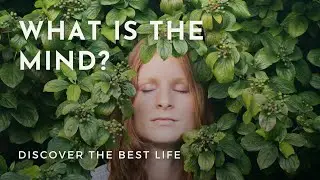 What Is The Mind? | Meditation