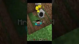Minecraft but I troll my brother 