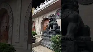 Китай 🇨🇳