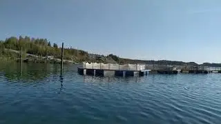Форель 2021. Холодный участок