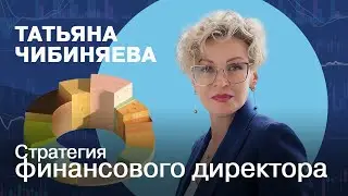 Стратегия финансового директора | Татьяна Чибиняева
