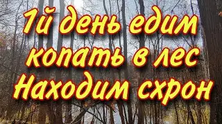 #Металл #Коп #Медь #Серебро Коп металла в лесу