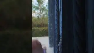 Quince años Ale