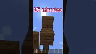 Roller coaster at different times (worlds smallest violin) #minecraft #shorts #worldssmallestviolin