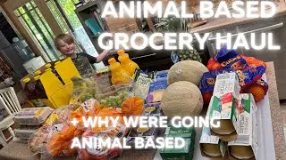 Large Family | Aldi | Animal Based Grocery Haul