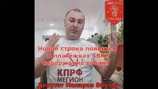 Содержание бездомных собак в городе Мегионе