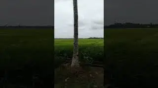 GUS BAHA, ADABNYA ORANG BERTAMU