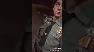 Ди жанклод терминатор