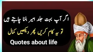 Agaaar Ap boht Jald Amer banana chahty hn To|Life Quotes in Urdu|Urdu poetry