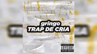 Gringo Mchefe - Artista Bandido ( Feat Vini Zs )