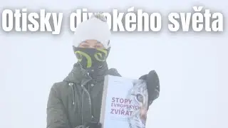 Stopování v ochraně přírody | jak poznávat stopy zvířat #zvířata #stopy
