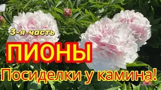 Посиделки у камина. Часть 3 / Сад Ворошиловой