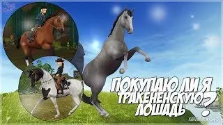 ПОКУПАЮ ТРАКЕНЕНСКУЮ ЛОШАДЬ?//Star Stable//