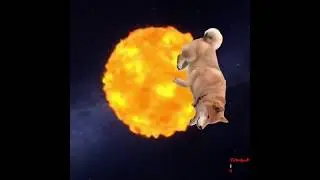 ПОСМОТРИТЕ ЗАТЯГИВАЕТ