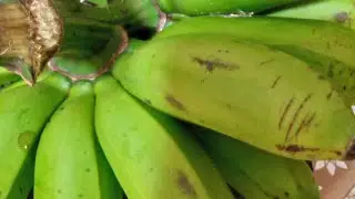  green banana chips for supper.