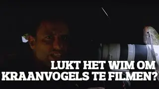 Lukt het Wim om kraanvogels te filmen?