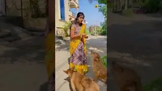 Dogs🐕🐾💖..