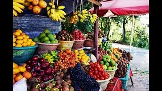 Trying Exotic Fruit