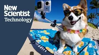 OpenAI's 'Sora' can generate realistic videos with just a single prompt