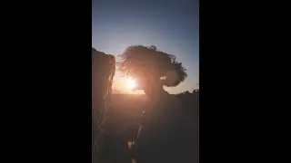 Quick tutorial for a lensflare in Photoshop. #shorts #photography #photoshop_tips