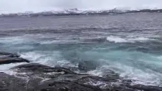 Норвежское море