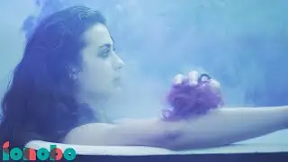 shama - kwiaty (Official Video)
