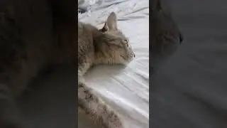 утро выходного дня