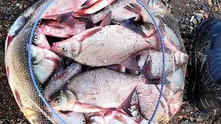 Садки ТРЕЩАТ по ШВАМ! Рыбалка с Агатом. 3-я серия