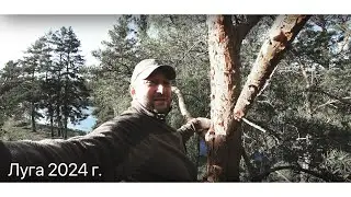 ЛУГА 2024 | Рыбалка | Щука