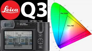 NEW Leica Q3 | 15 Tips & Tricks for Videography | LUTs, Gamut, L-Log EASILY EXPLAINED