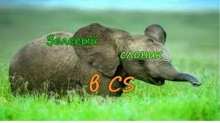 Зеленый слоник в CS