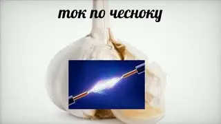 Ток по чесноку