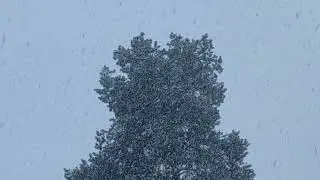 Snowing heavily In Vaasa on Christmas Eve 2021 #Snowing #Vaasa #Finland #ChristmasEve #2021