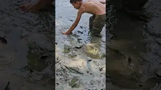 Hand fishing in the pond|#fishing