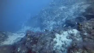 Punta Lajial, El Hierro, Octubre 2020