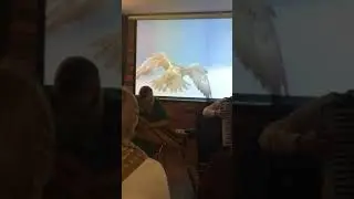 Санкт Петербург.  Выступление на гуслях.  Твои Традиции.
