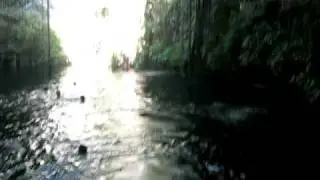 Jumping into cenotes in Mexico