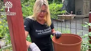 Göra egen jord