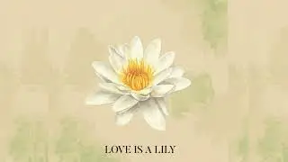LOVE IS A LILY - Caroline Ferrara