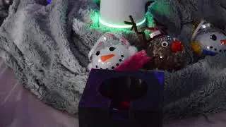 Happy Holidays from DENSO Robotics!  2020