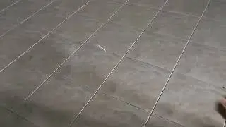 Cute Cat เหมียวอยากกินทาโร่
